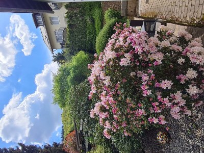 Apartment Apartment mit Terrasse - Outdoor photo 19