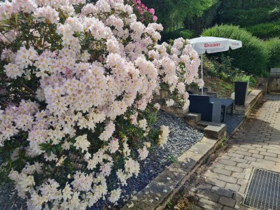 Apartment Apartment mit Terrasse - Features photo 36