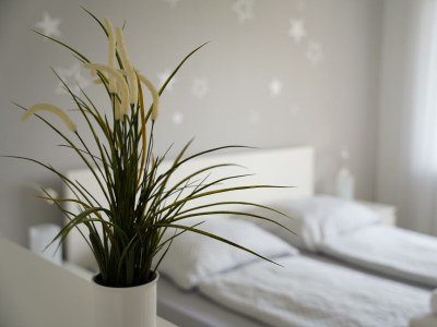 Apartment Apartment mit Terrasse - Features photo 38