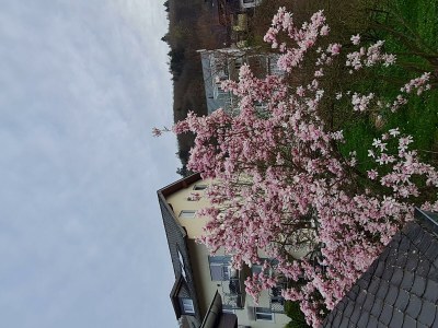 Apartment Apartment mit Terrasse - Features photo 42