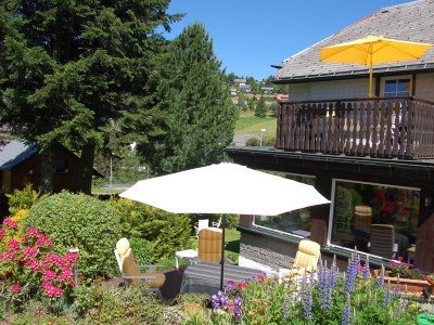 Holiday apartment Landhaus Jäger Ferienwohnung No. 2 - Outdoor photo 6