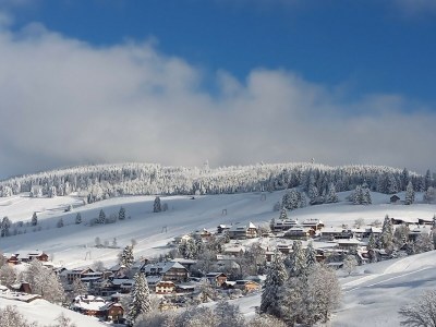 Holiday apartment Landhaus Jäger Ferienwohnung No. 2 - Environment photo 36