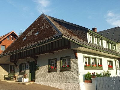 Holiday apartment Landhaus Jäger Ferienwohnung No. 1 in Todtnauberg - Holiday apartment