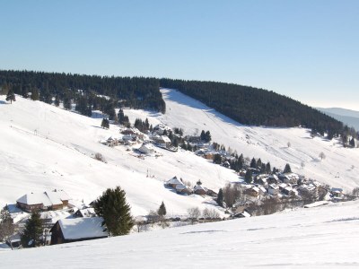 Holiday apartment Landhaus Jäger Ferienwohnung No. 1 - Environment photo 29