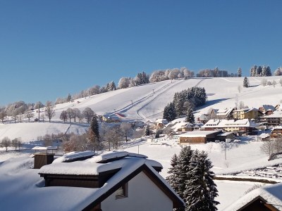 Holiday apartment Landhaus Jäger Ferienwohnung No. 1 - Environment photo 32