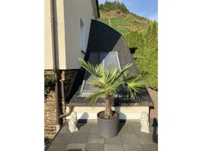 Apartment 2-Bettwohung - Outdoor photo 22