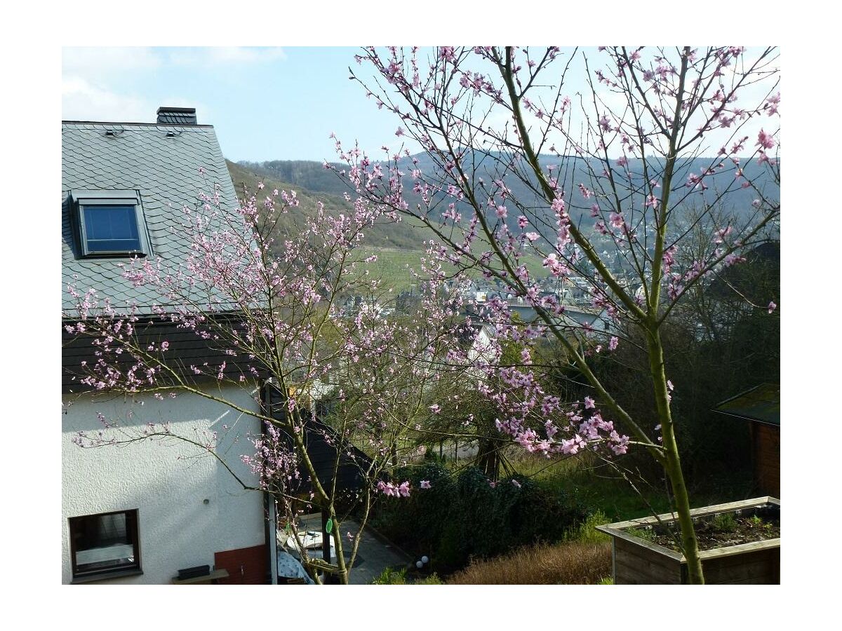 Apartment Appartement/Fewo, Dusche, WC - Outdoor photo 3