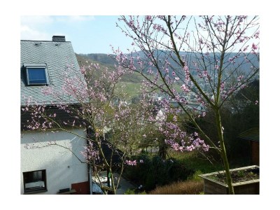 Apartment Appartement/Fewo, Dusche, WC - Outdoor photo 3