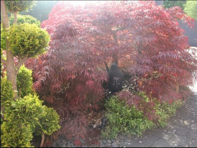 Apartment Appartement/Fewo, Toilette und Bad/Dusche getrennt - Outdoor photo 6