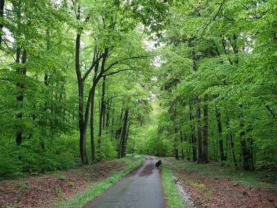 Apartment Appartement/Fewo, Toilette und Bad/Dusche getrennt - Outdoor photo 9