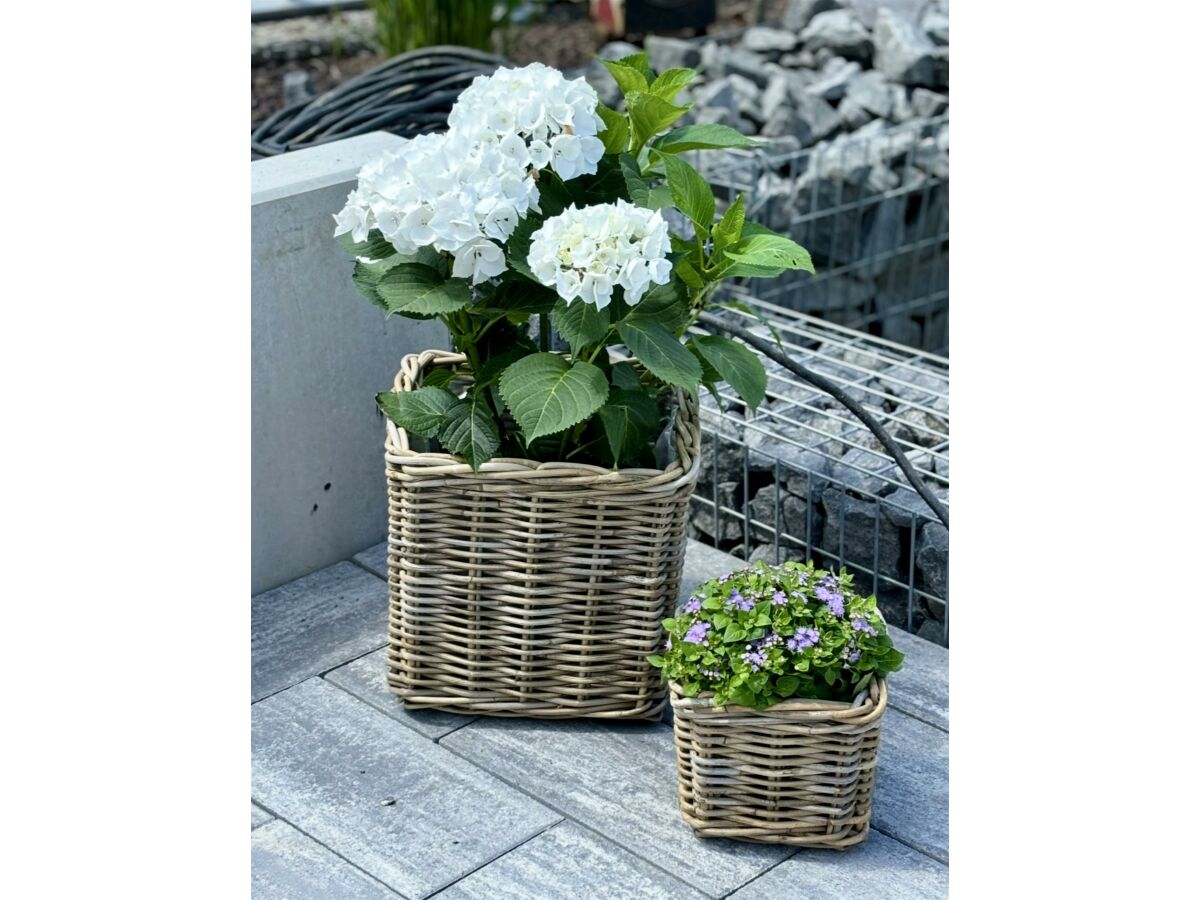 Apartment Appartement/Fewo, Dusche und Bad, WC, 1 Schlafraum