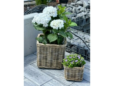 Apartment Appartement/Fewo, Dusche und Bad, WC, 1 Schlafraum in Kastellaun - Apartment