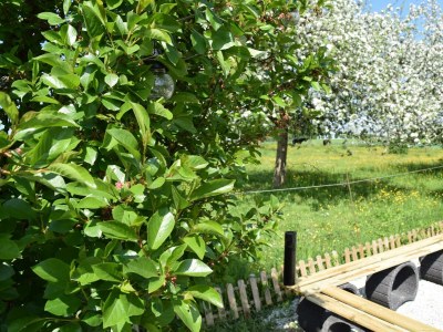 Holiday room Chalet Geflüster - Outdoor photo 16