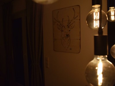 Holiday room Chalet Geflüster - Outdoor photo 23