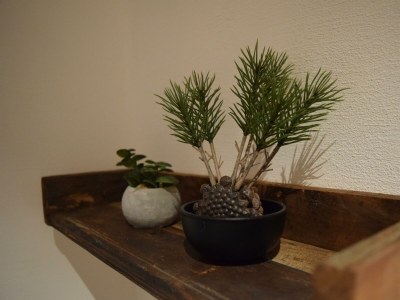 Holiday room Chalet Geflüster - Outdoor photo 25