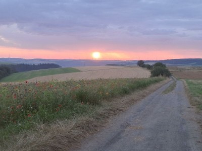 Apartment Appartement/Fewo, Dusche, WC, Erdgeschoß/Parterre - Outdoor photo 8