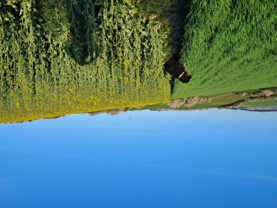 Apartment Appartement/Fewo, Dusche, WC, Erdgeschoß/Parterre - Outdoor photo 10