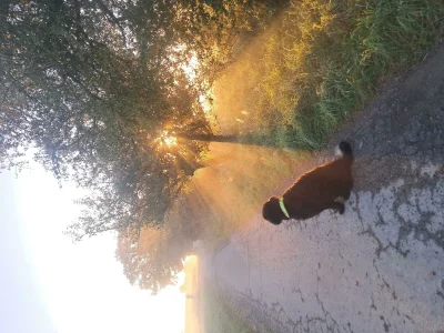 Apartment Appartement/Fewo, Dusche, WC, Erdgeschoß/Parterre - Outdoor photo 11