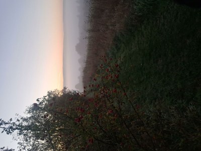 Apartment Appartement/Fewo, Dusche, WC, Erdgeschoß/Parterre - Outdoor photo 12