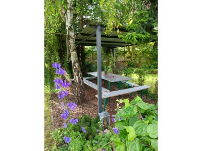 Apartment FeWo Herzlich inmitten der Weinreben - Outdoor photo 7