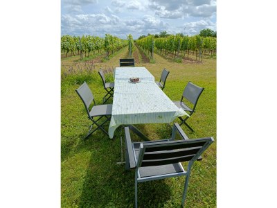 Apartment FeWo Herzlich inmitten der Weinreben - Outdoor photo 8