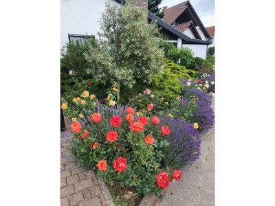 Apartment FeWo Herzlich inmitten der Weinreben - Outdoor photo 12