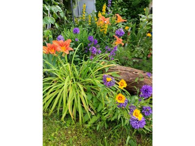 Apartment FeWo Herzlich inmitten der Weinreben - Outdoor photo 15