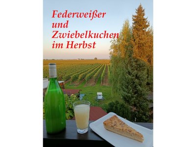 Apartment FeWo Herzlich inmitten der Weinreben - Outdoor photo 26