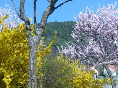 Apartment Noltenius - Outdoor photo 13