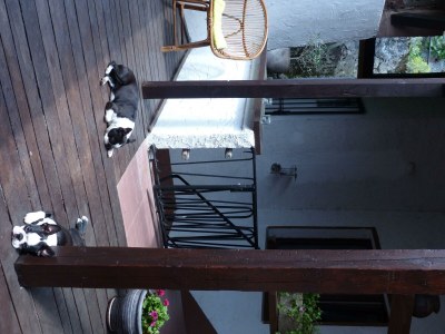 Apartment Noltenius - Features photo 21