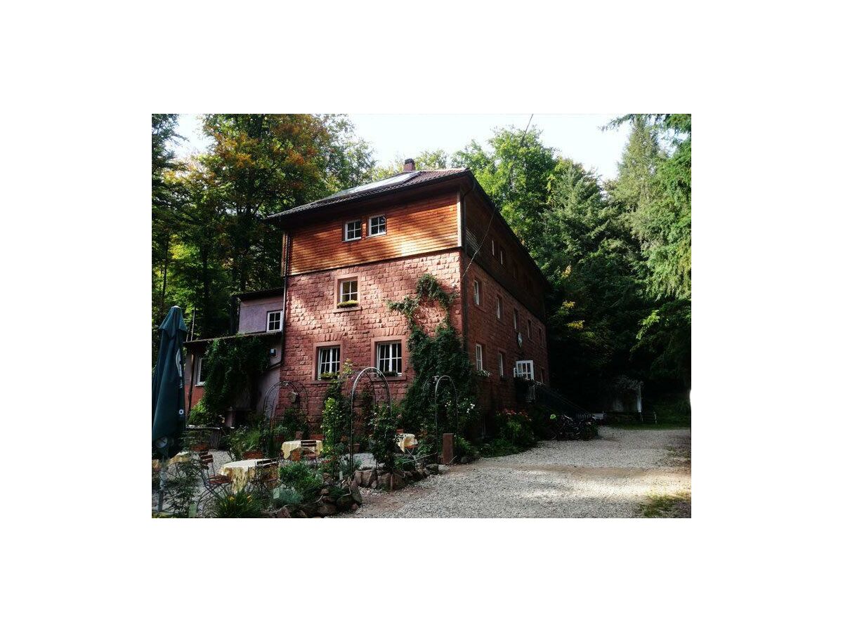 Holiday room 206 Dreibettzimmer, Dusche, WC, ruhig