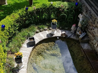 Apartment Ferienwohnung Fritz - Outdoor photo 6