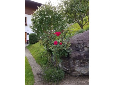 Apartment Ferienwohnung Fritz - Outdoor photo 7