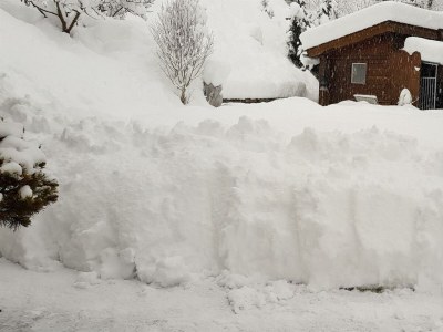 Apartment Ferienwohnung Fritz - Outdoor photo 8