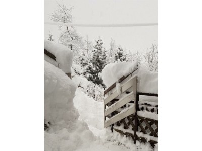 Apartment Ferienwohnung Fritz - Outdoor photo 16