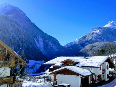 Apartment Apartment/1 Schlafraum/Bad, WC in Finkenberg - Apartment