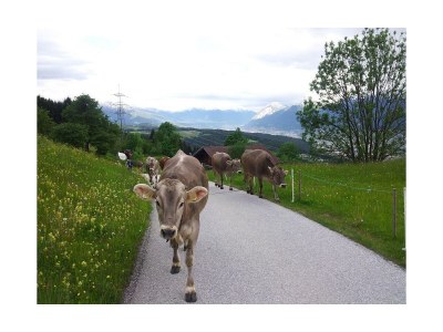 Apartment Ferienwohnung 2-5 Personen - Outdoor photo 8