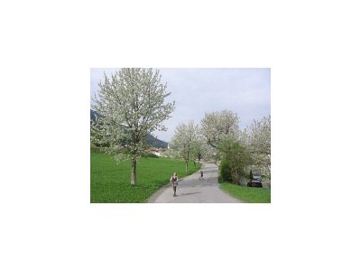 Apartment Ferienwohnung 2-5 Personen - Outdoor photo 14