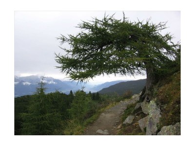 Apartment Ferienwohnung 2-5 Personen - Outdoor photo 16