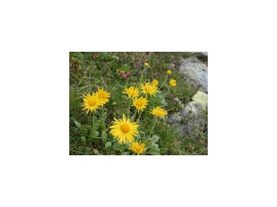 Apartment Ferienwohnung 2-5 Personen - Outdoor photo 17