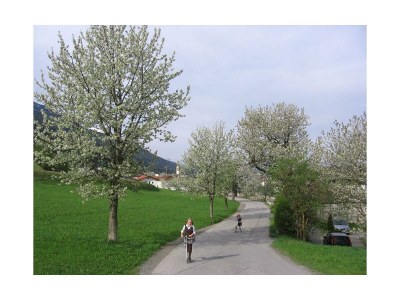 Apartment Ferienwohnung 2-5 Personen - Features photo 35