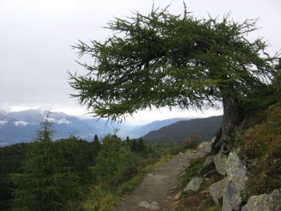 Apartment Ferienwohnung 2-5 Personen - Features photo 36