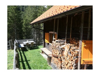 Apartment Ferienhaus Zwergenwald - Outdoor photo 4