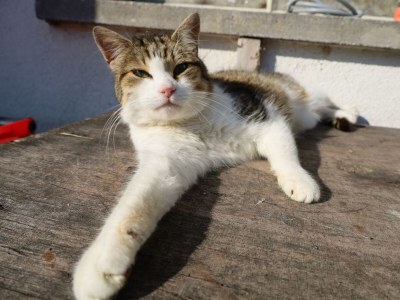 Holiday room Ferienwohnung Inntalpanorama - Outdoor photo 10