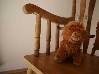 Holiday room Ferienwohnung Inntalpanorama - Features photo 22