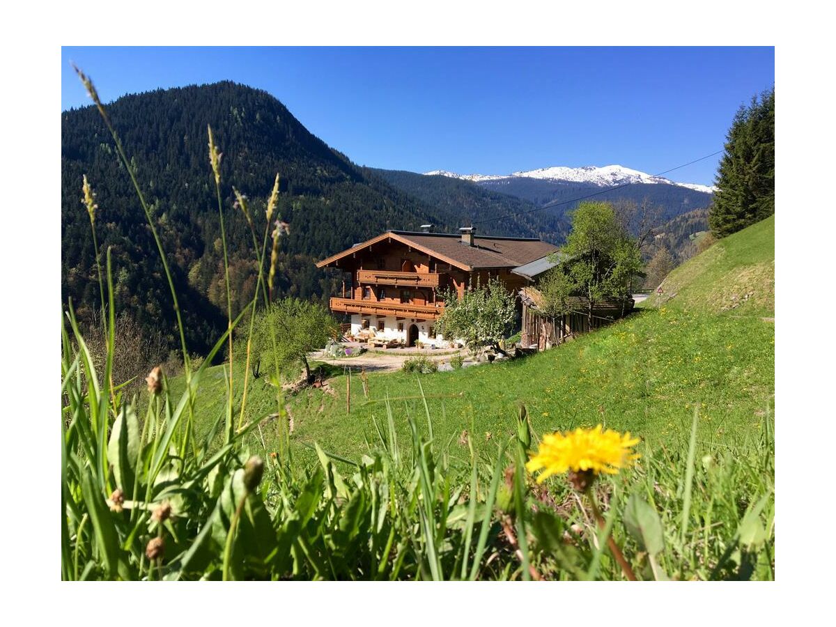 Apartment Apartment bis 5 Personen/1 Schlafraum/Bad, WC