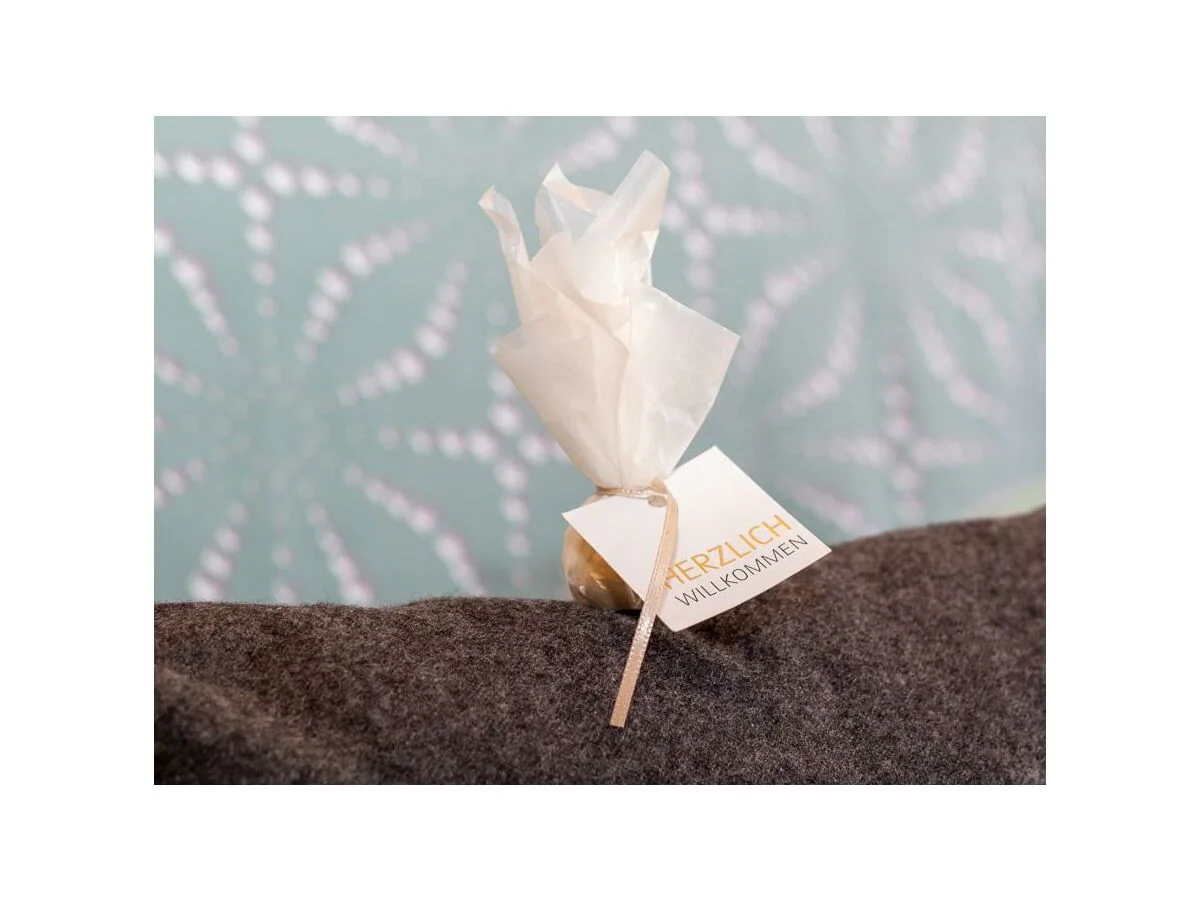 Apartment Apartment Max