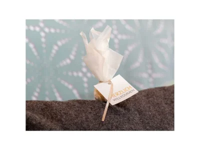 Apartment Apartment Max in St. Martin/Lofer - Apartment