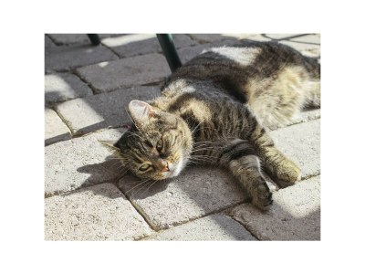 Apartment Apartment/1 Schlafraum/Dusche, WC - Outdoor photo 20