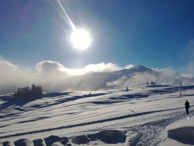 Apartment Appartement Winklmoos - Outdoor photo 6